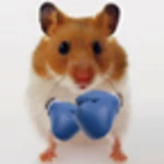 Logo of Hamster Live Wallpapper android Application 