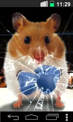 Hamster Live Wallpapper android App screenshot 0