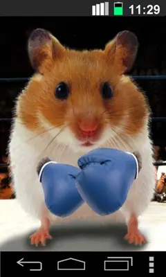 Hamster Live Wallpapper android App screenshot 1