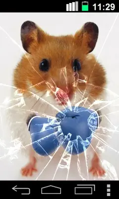 Hamster Live Wallpapper android App screenshot 2